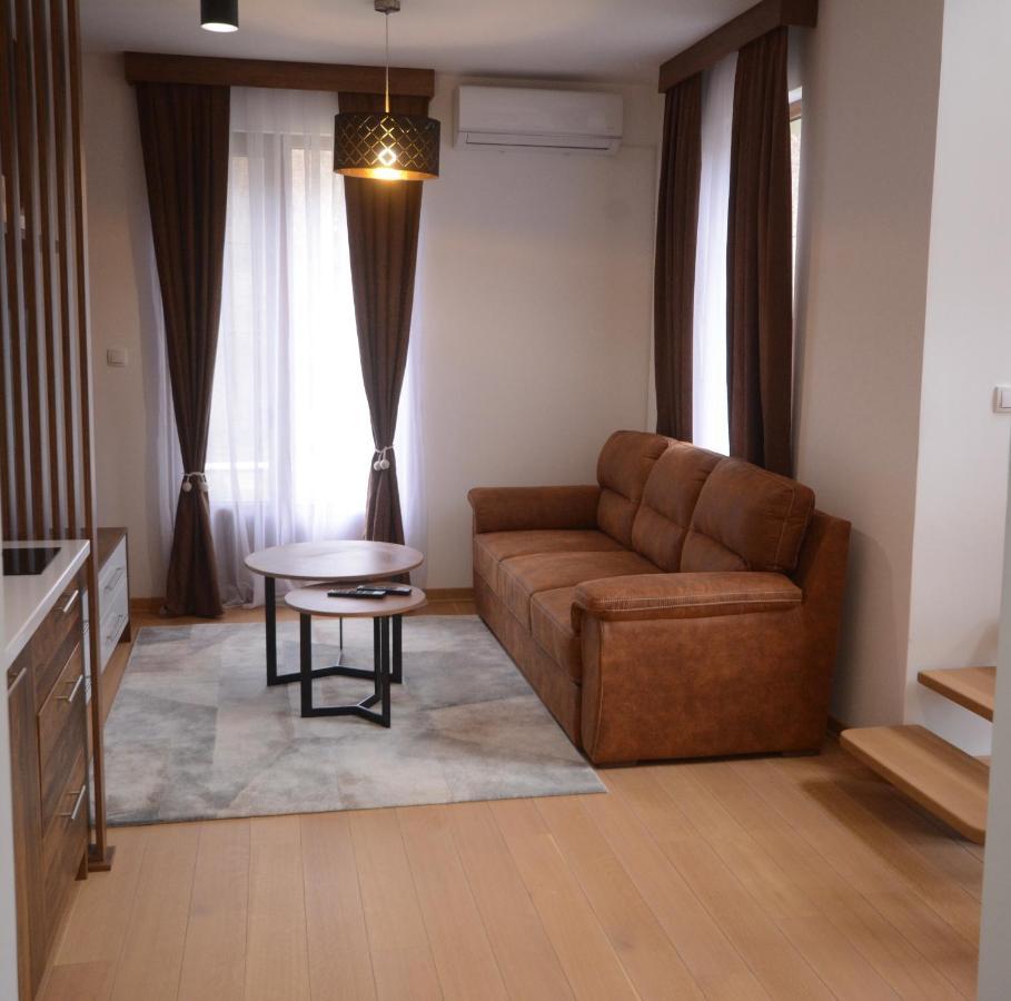 Crown House Aparthotel Vrnjacka Banja Bagian luar foto